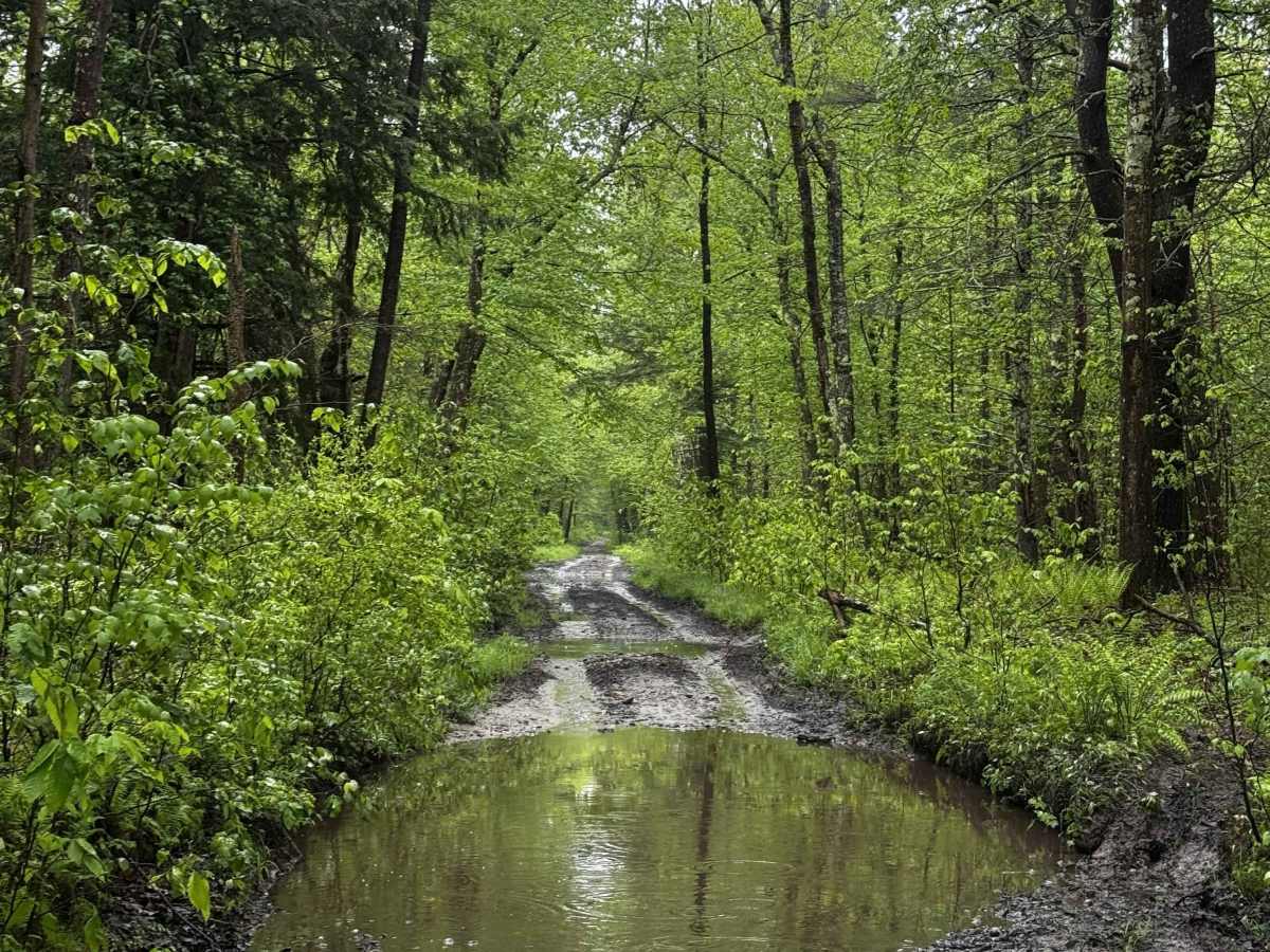 Amos Case Road - North Section photo 3