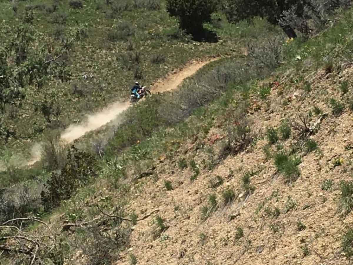 Old Ranger photo 2