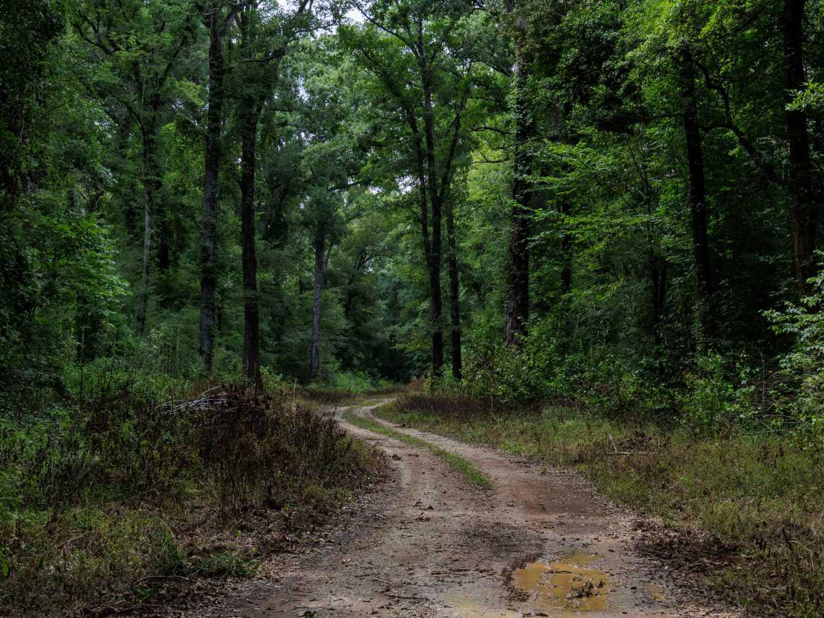 River Road photo 5