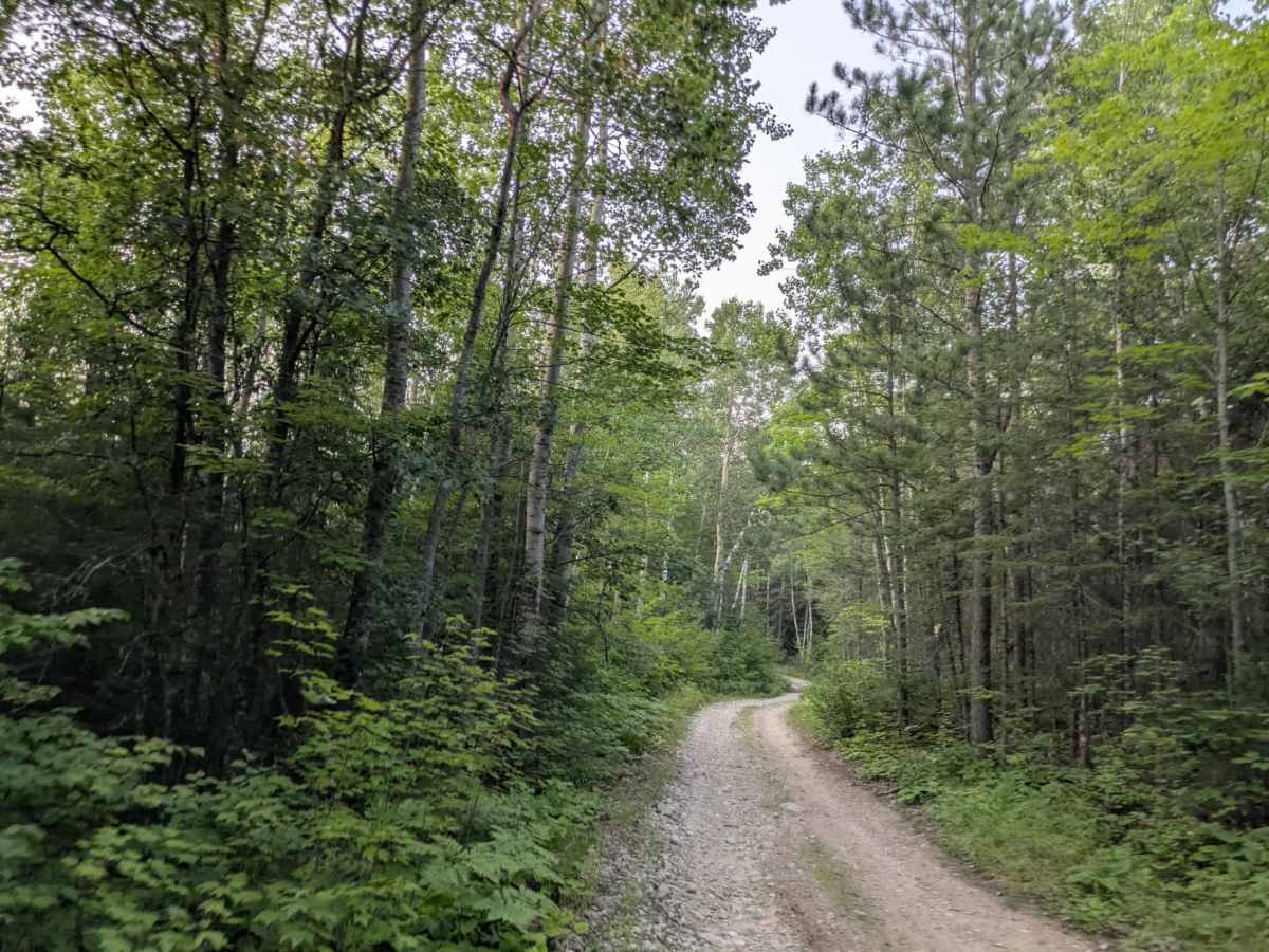 Shuster Road trail photo