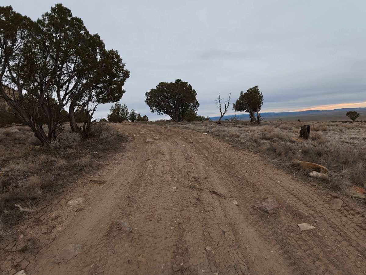 CR 128 photo 6
