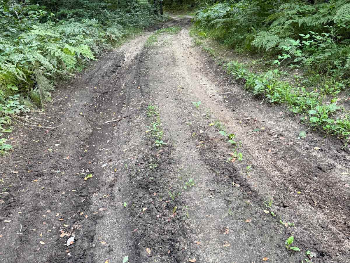 8-3 Powerline Trail photo 6