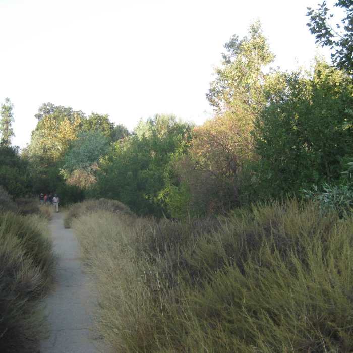 Along the trail Near Palisades Trail