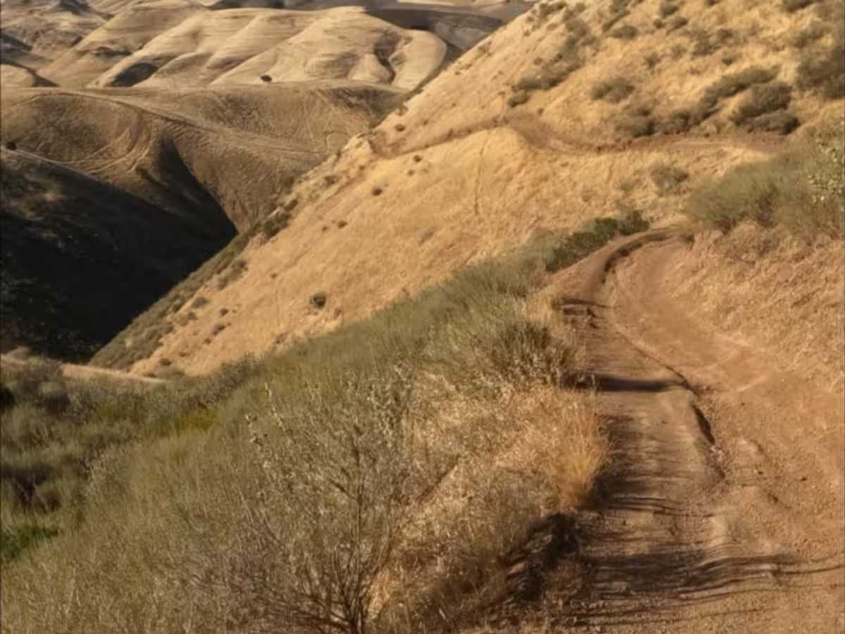 Red Trail trail photo