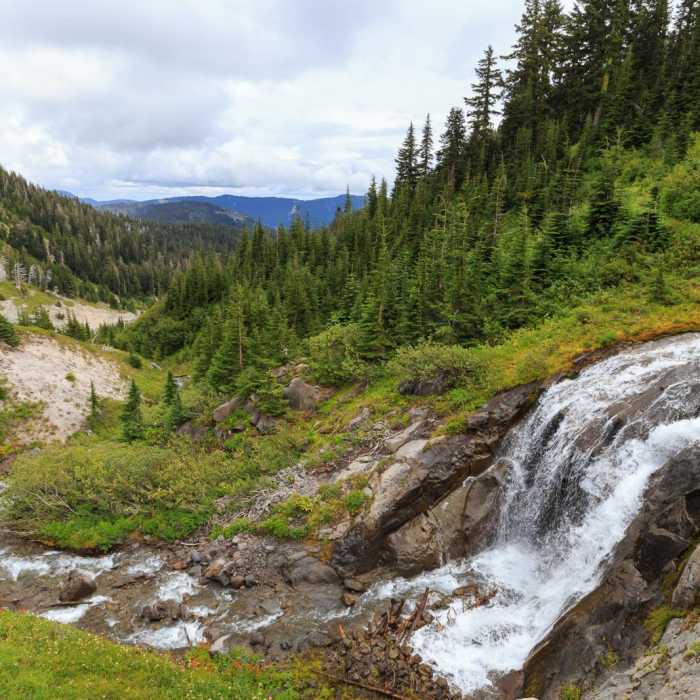 Near Timberline Trail