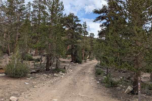 Coyote Lake Trail - FS 31E304