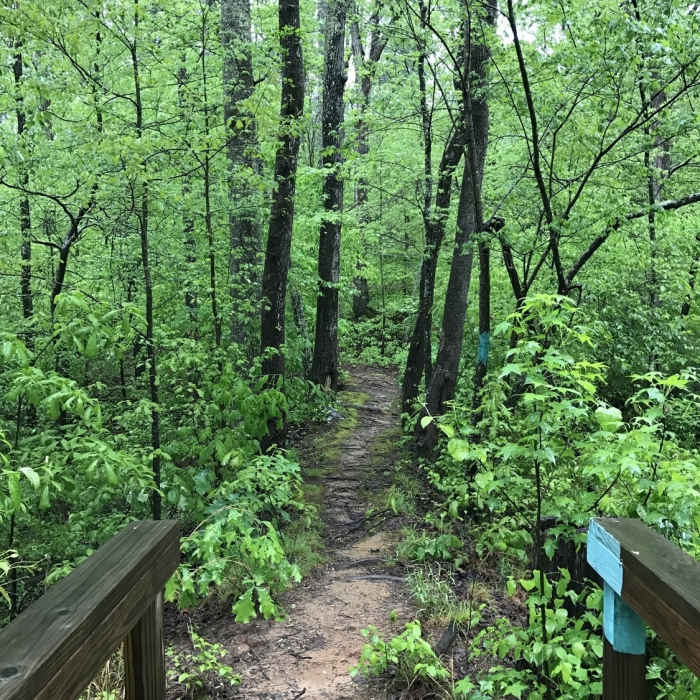 Near Chickasaw Park Loops