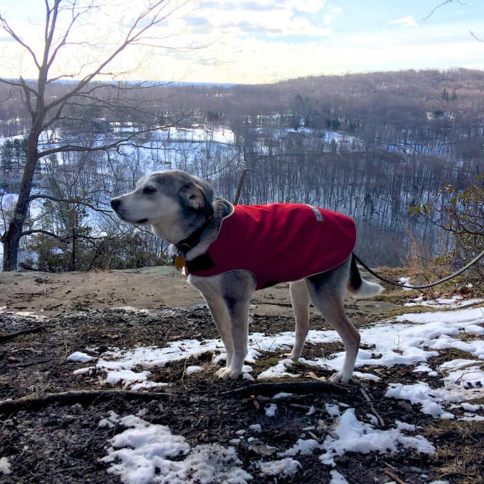 Near Rock Trail (RT) Loop