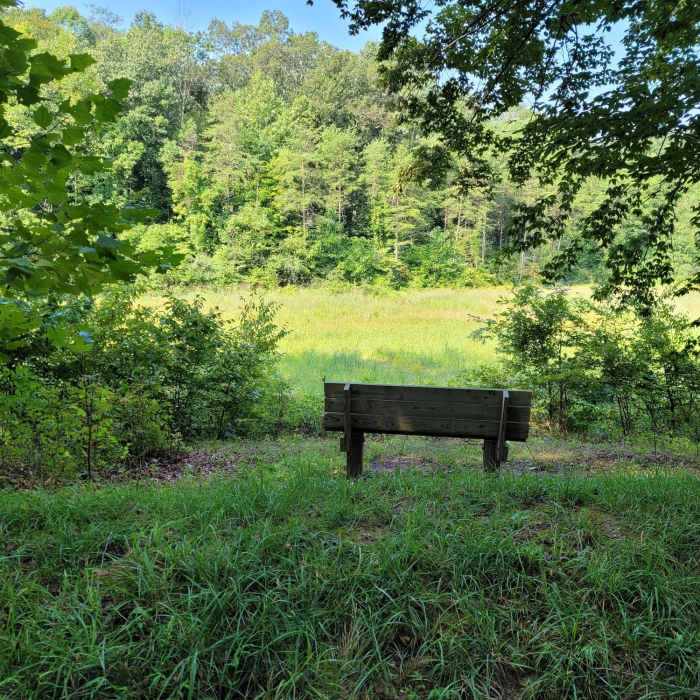 Bench seating by meadow area. Near Blue Square Trail