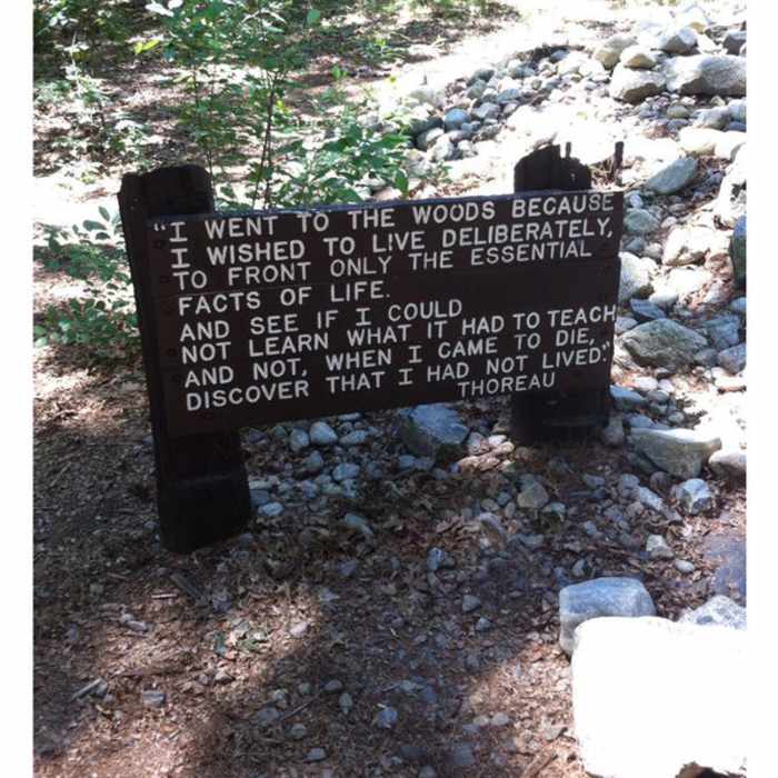 Thoreau's cabin site. Near Walden Pond