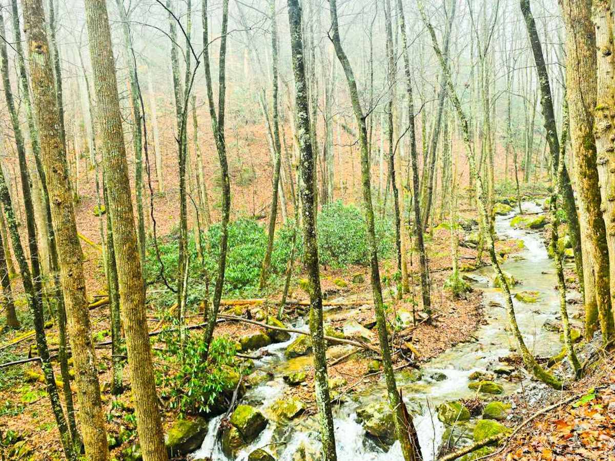 Little Stoney Creek  photo 4
