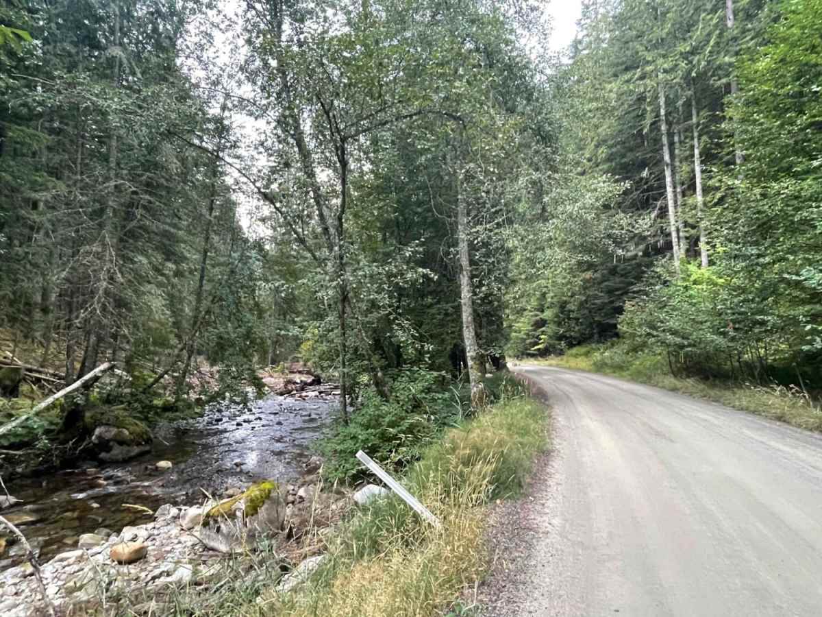 Trestle Creek Trail photo 4