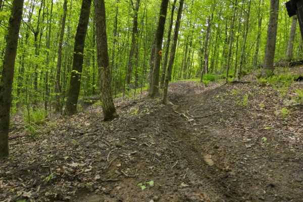 H Orange Single Track
