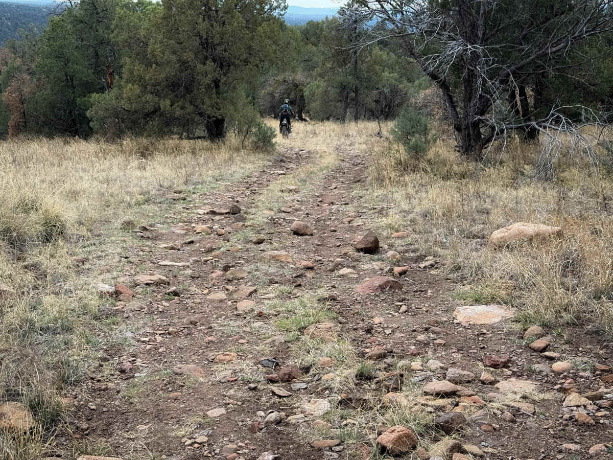 Trail 967 photo 4