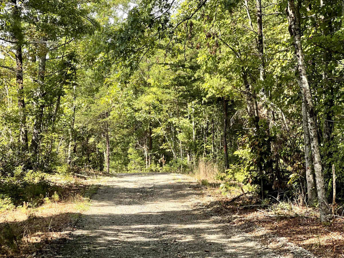 Green Rock  trail photo