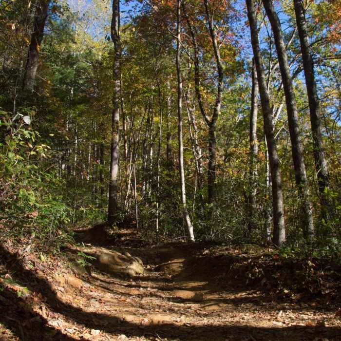 Near Rainbow Falls + Turtleback Falls Near Rainbow Falls + Turtleback Falls