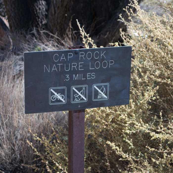 Near Cap Rock Nature Trail