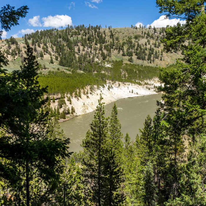 Near Tower Fall Trail