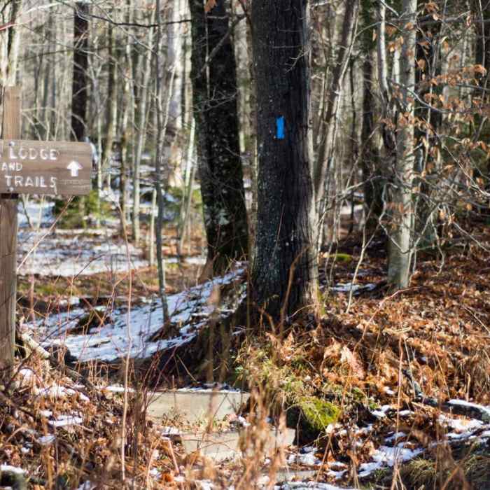 Near Maple Ridge + Butler Lodge Loop Near Maple Ridge + Butler Lodge Loop