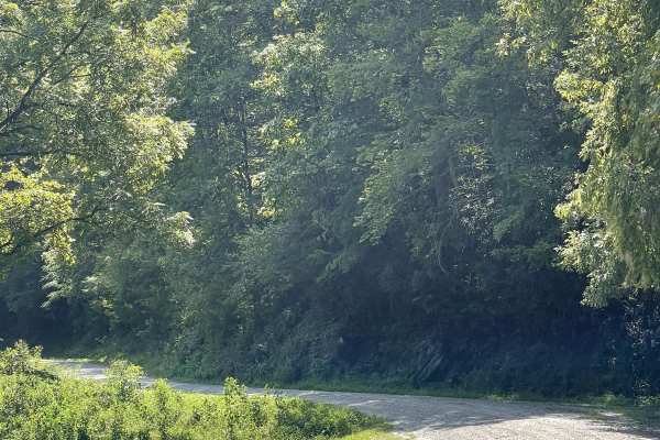 Mulberry Creek Road