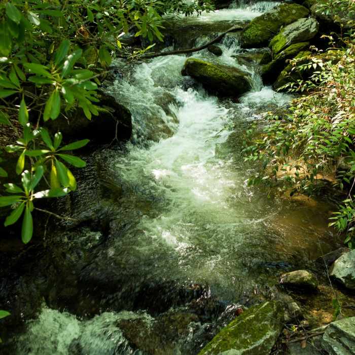 Near Little Bearwallow Mountain Near Little Bearwallow Mountain