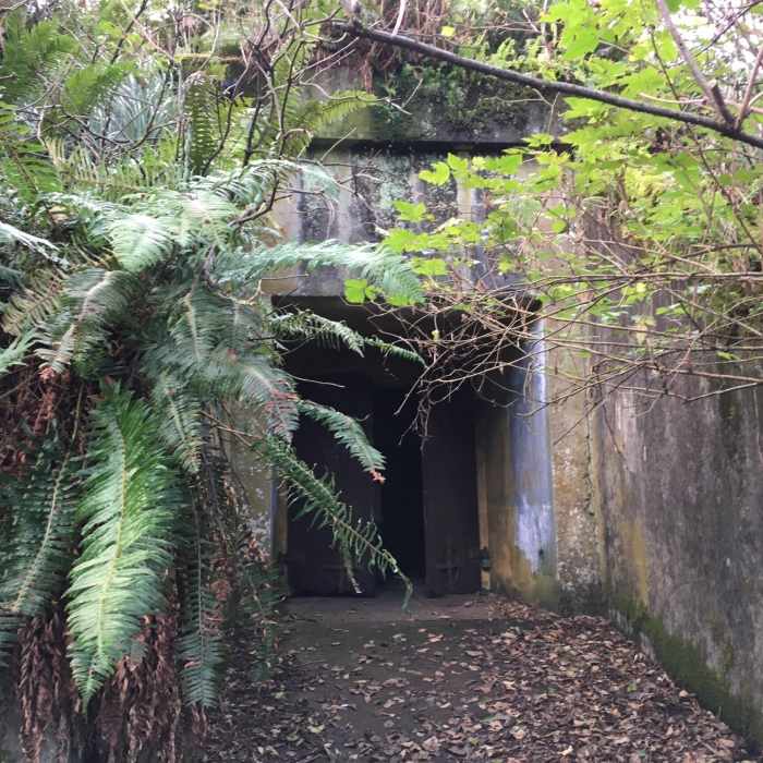 East entrance into Battery 247. Near McKenzie Head Trail