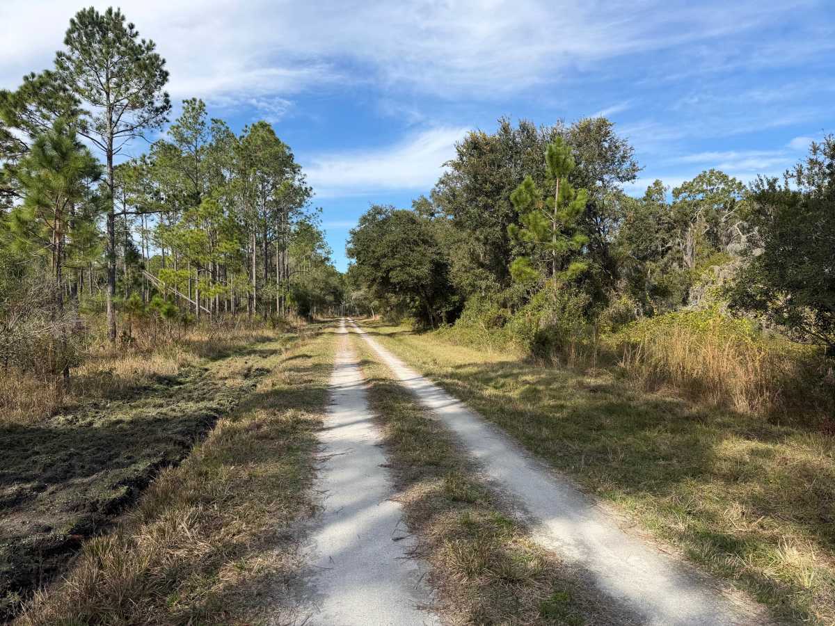 Cedar Pocket Road photo 2