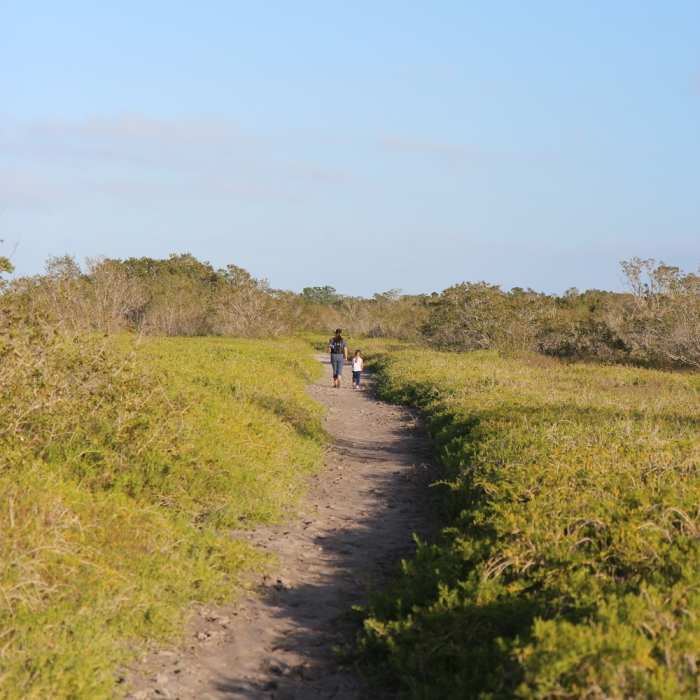 Near Clubhouse Beach Out and Back