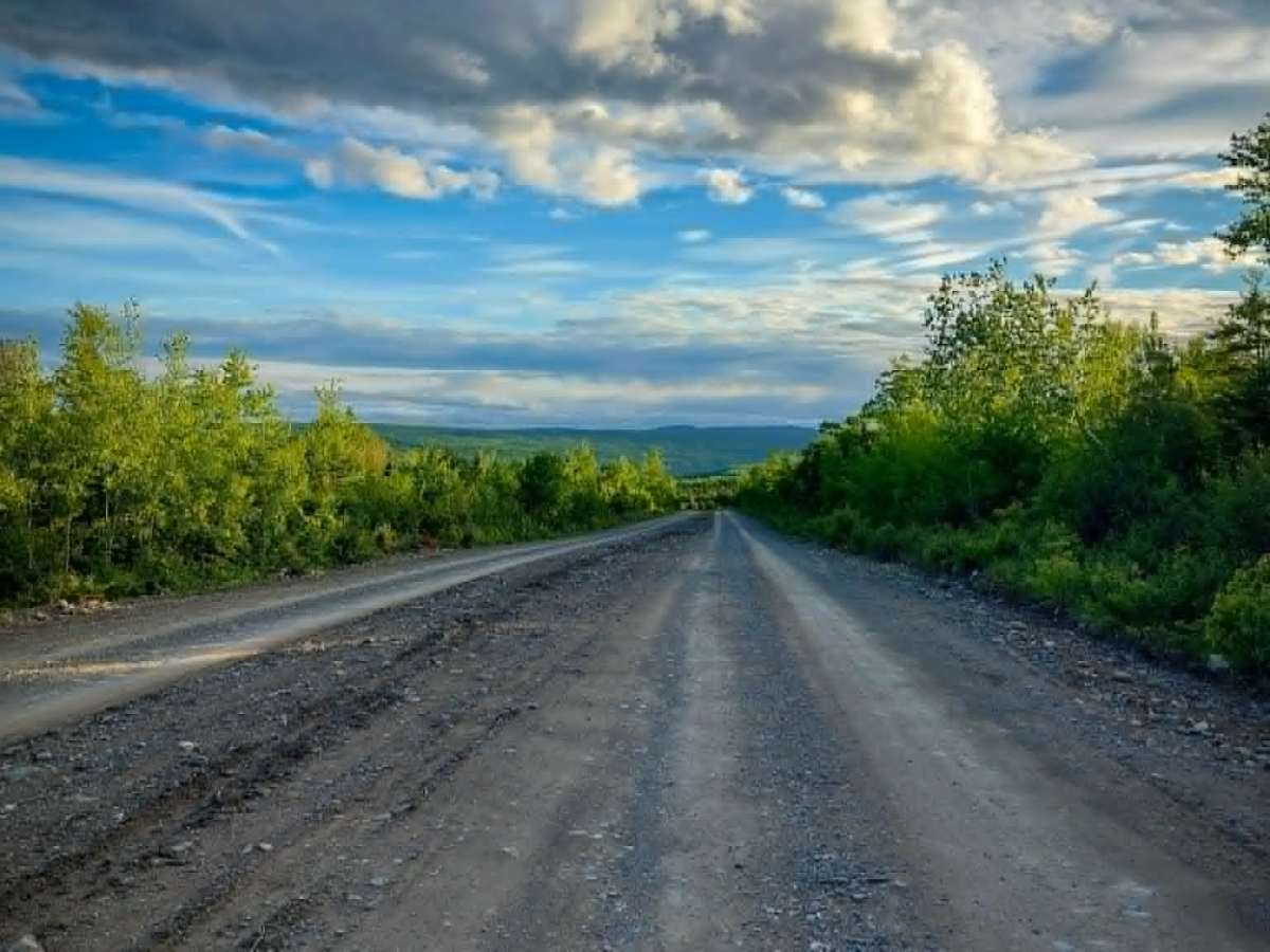 Knoll Spruce River Road trail photo