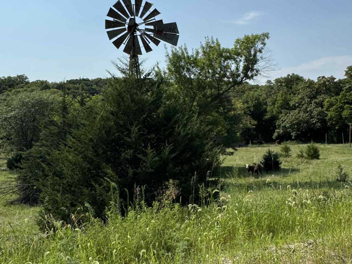 River Run Spur trail photo