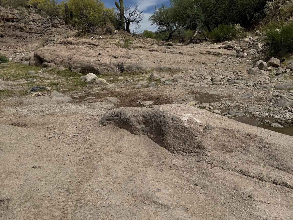 BLM 28072 photo 2