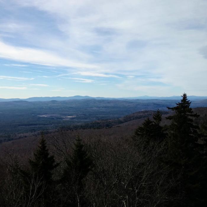 View from the fire tower Near Dearborn Trail