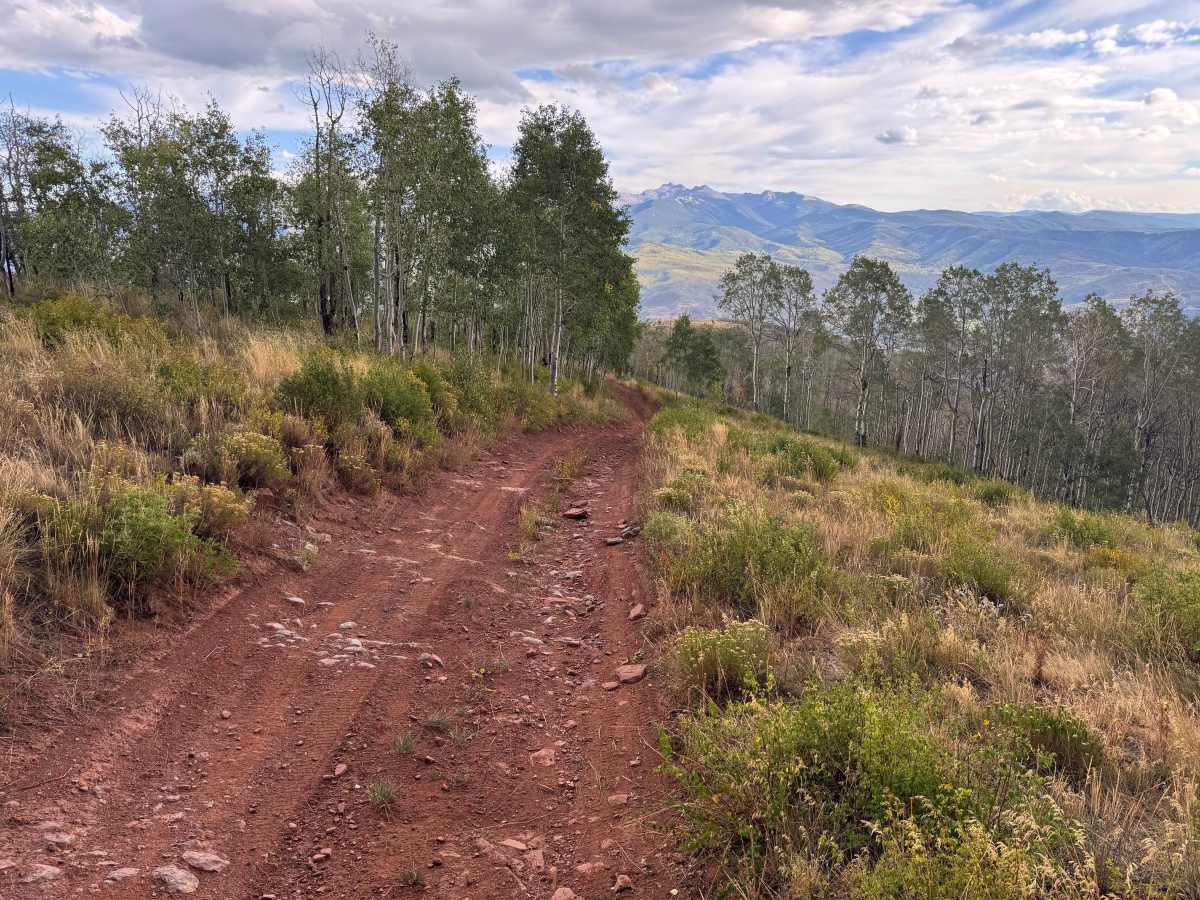 Beard Creek Road photo 3