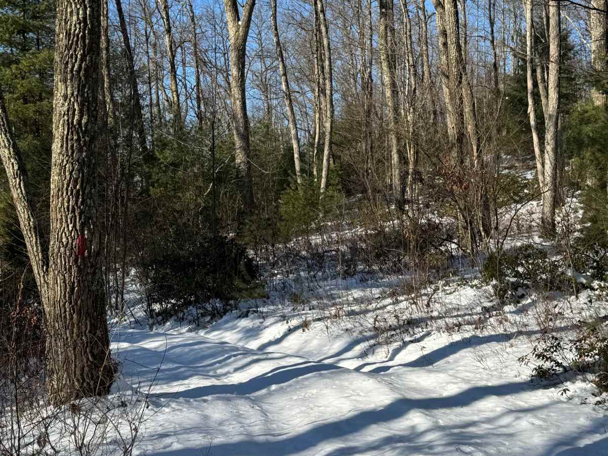 Duncan Trail photo 3