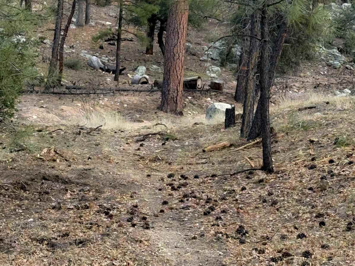 Cottonwood Trail #8 (ATV)  photo 5