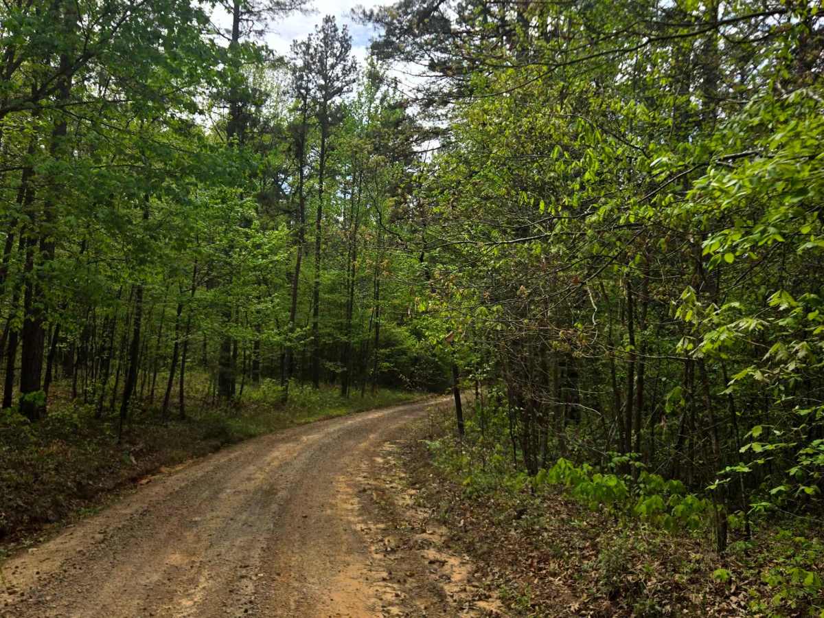Graham Road photo 5