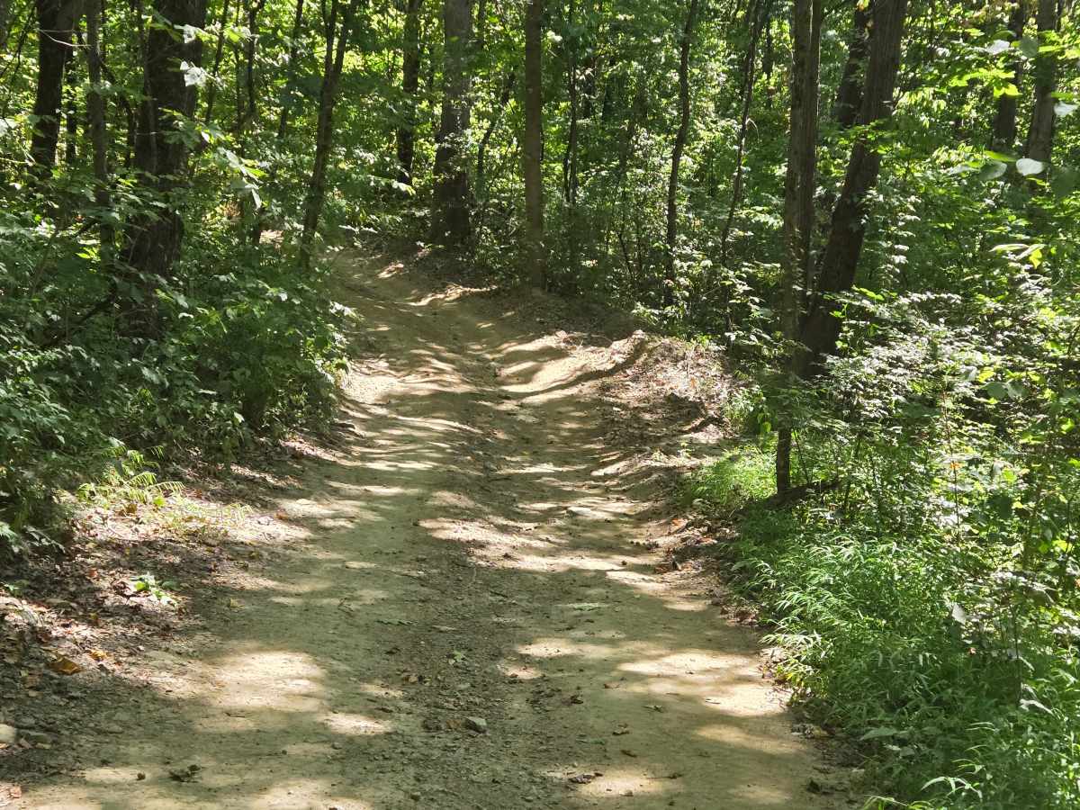 Trail 51 photo 5