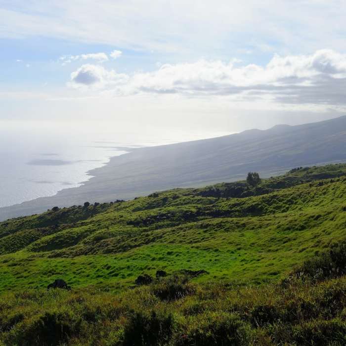 Near Kaupo Trail