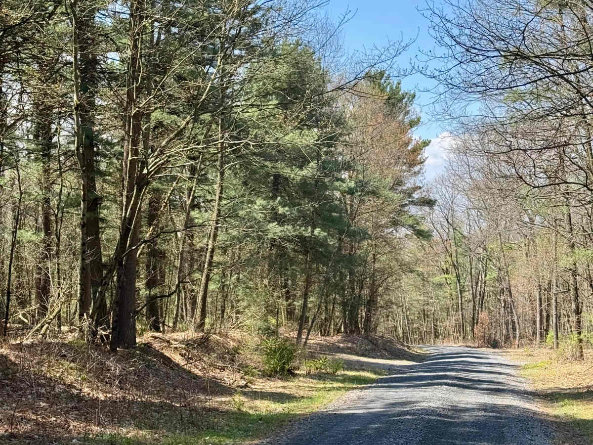 Nittany Ridge Road photo 3
