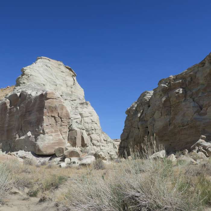 Near Wiregrass Canyon