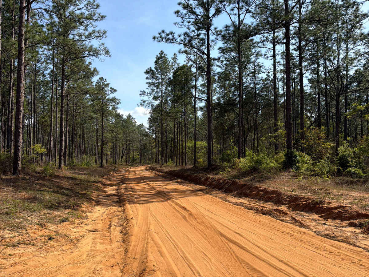 McCoy Road photo 2