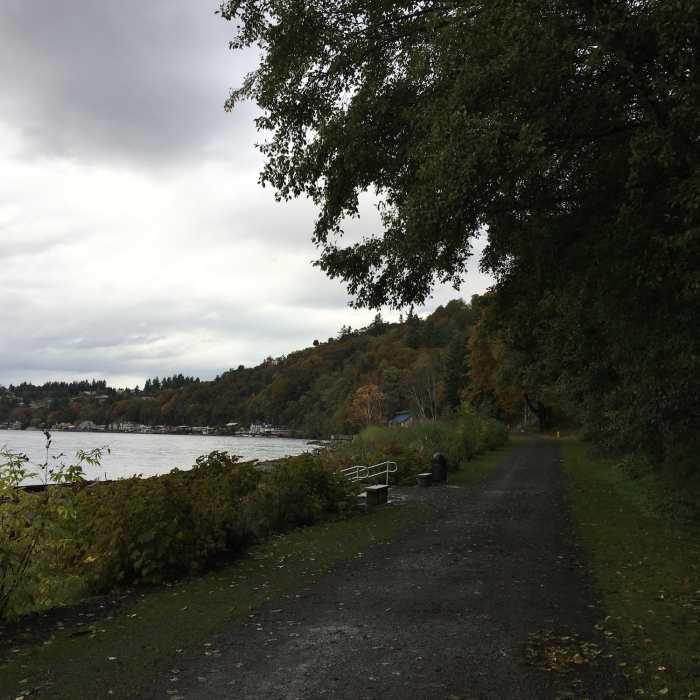 Near North Seahurst Park Nature Trail