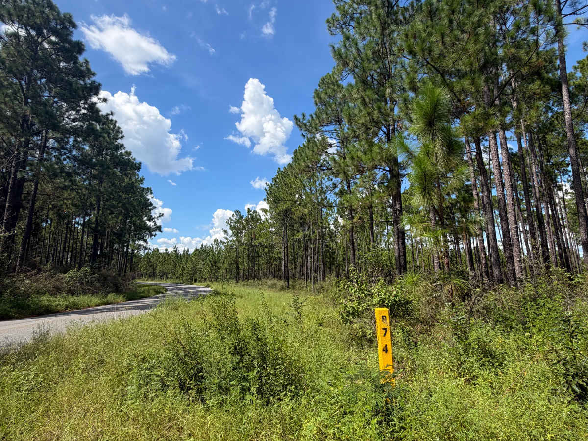Beaver Creek Road R74 photo 2