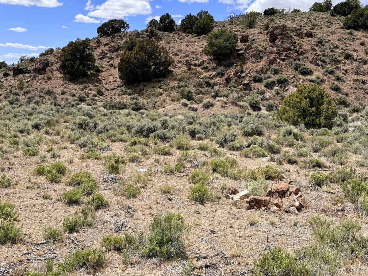 Willow Springs Bypass - FS 44429 photo 4
