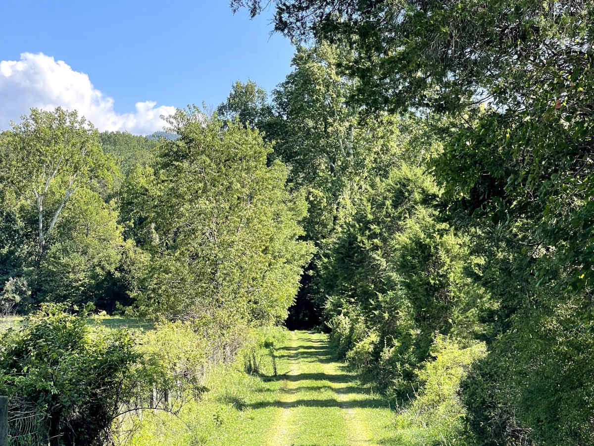 Scenic View Lane photo 2