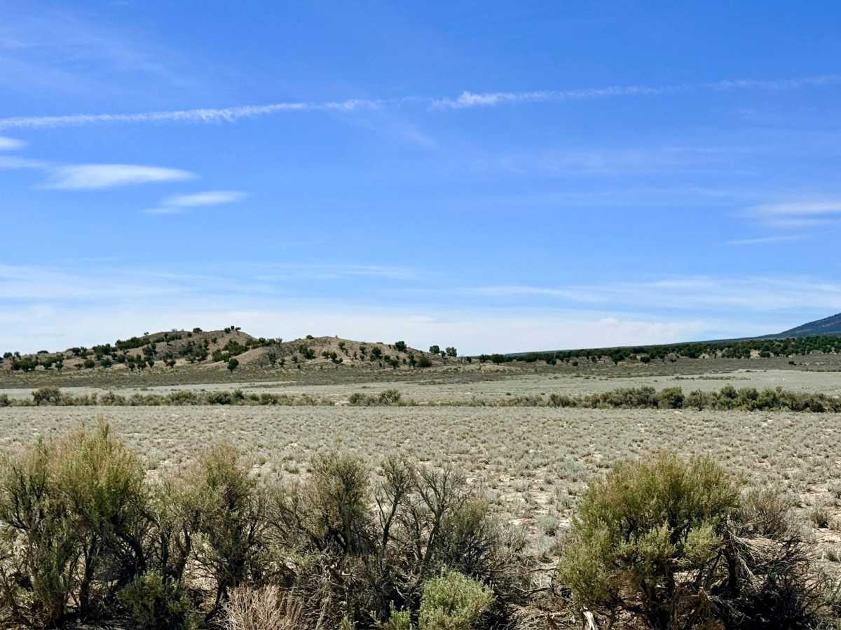 North Antelope Valley Road photo 3