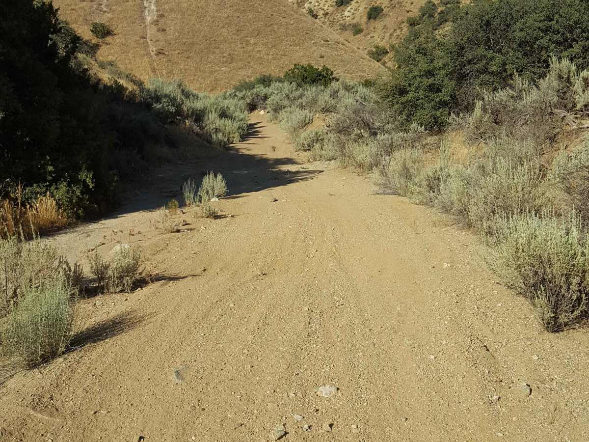 Trail 17 photo 3