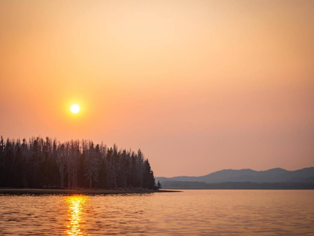 Whitetail Reservoir photo 6