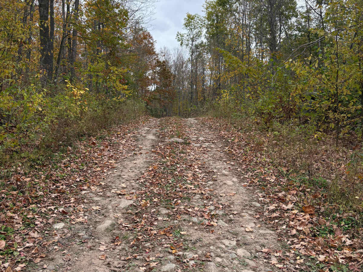 Hemlock North/South photo 4