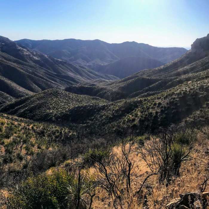 Near Reavis Valley Trail #109